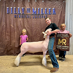 Reserve Champion Finewool Cross – Ring A
2025 Billy Miller Memorial Jackpot (TX)