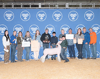 Reserve Supreme Breeding Ewe
Champion Dorset Breeding Ewe
2026 Oklahoma Youth Expo